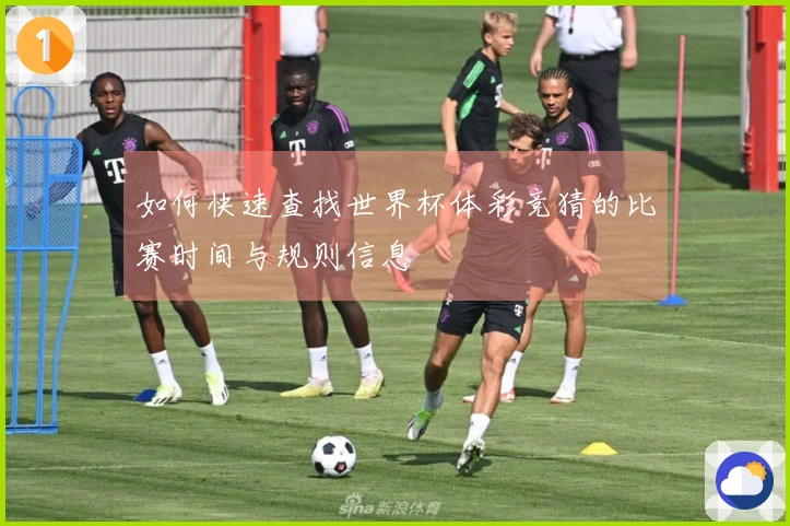 如何快速查找世界杯体彩竞猜的比赛时间与规则信息
