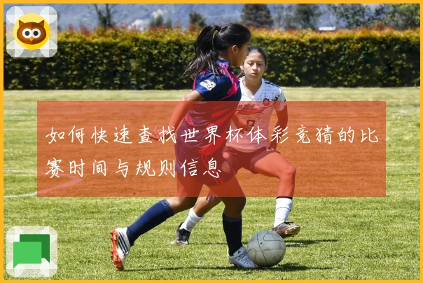 如何快速查找世界杯体彩竞猜的比赛时间与规则信息