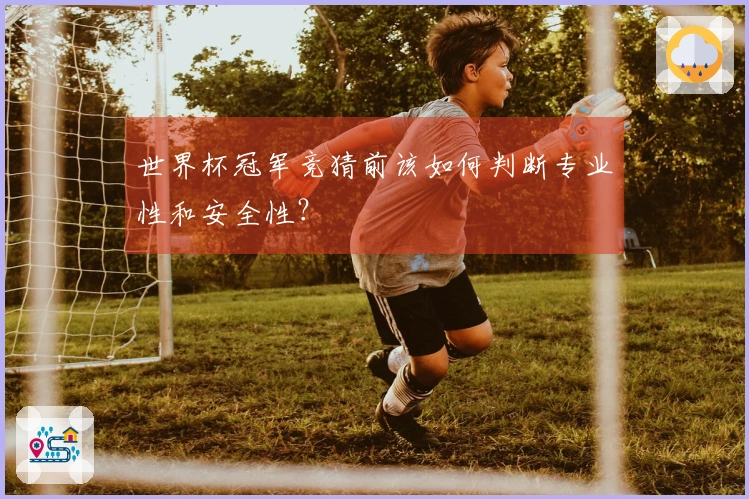 世界杯冠军竞猜前该如何判断专业性和安全性？