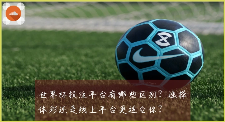 世界杯投注平台有哪些区别？选择体彩还是线上平台更适合你？