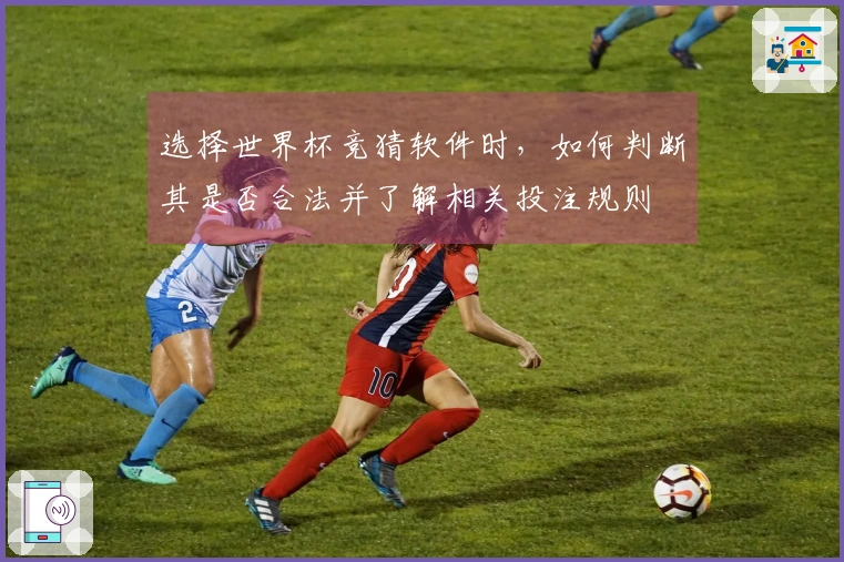 选择世界杯竞猜软件时，如何判断其是否合法并了解相关投注规则