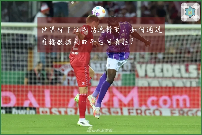 世界杯下注网站选择时，如何通过直播数据判断平台可靠性？
