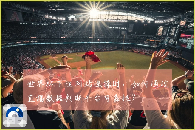 世界杯下注网站选择时，如何通过直播数据判断平台可靠性？