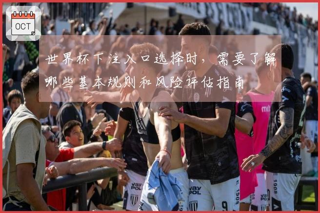 世界杯下注入口选择时，需要了解哪些基本规则和风险评估指南