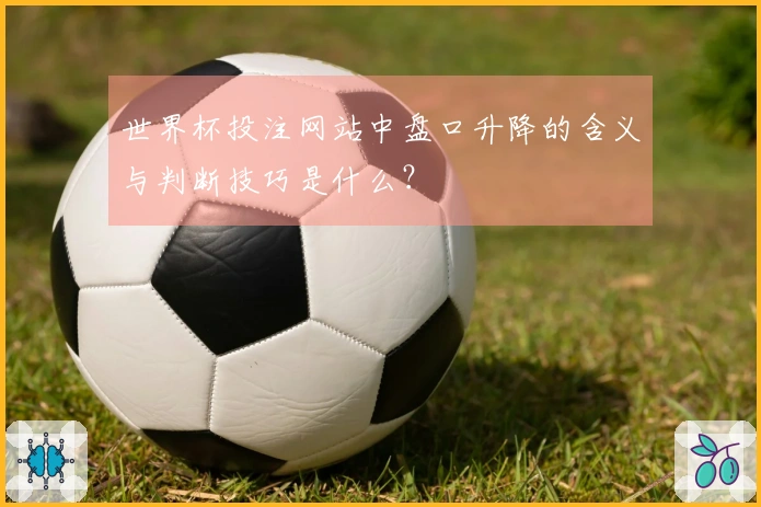 世界杯投注网站中盘口升降的含义与判断技巧是什么？