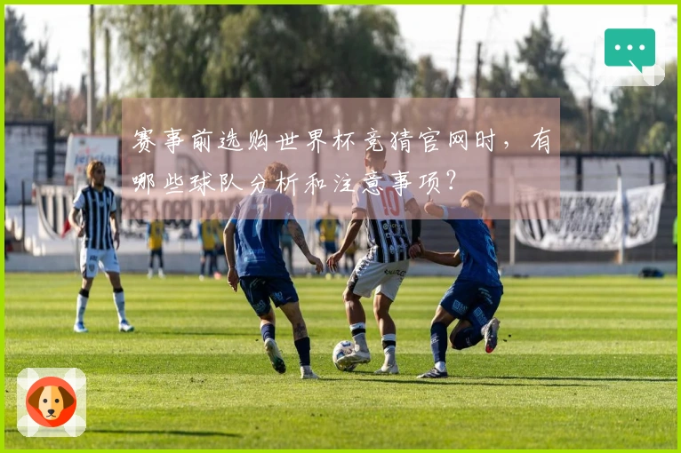 赛事前选购世界杯竞猜官网时，有哪些球队分析和注意事项？